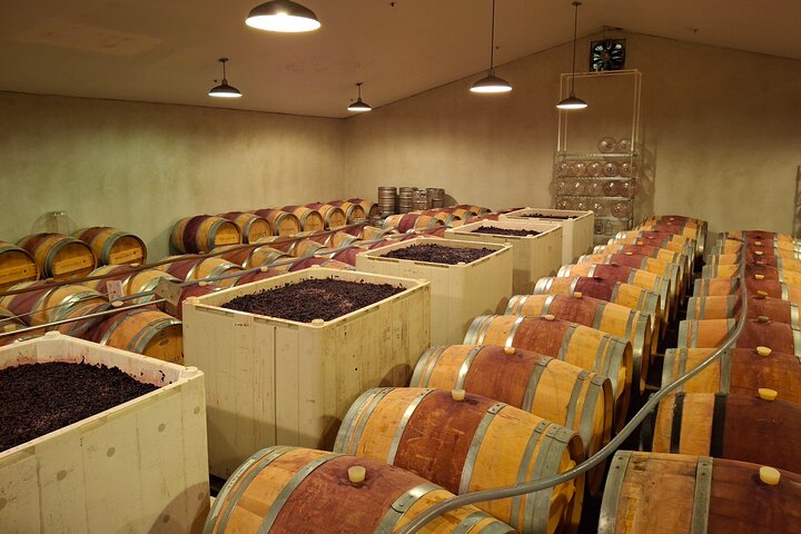 Fabulous Private Wine Tour of Napa & Sonoma: 2 to 5 People