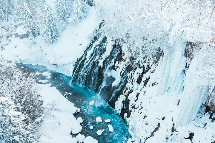 [Late Departure] Biei Best 5 Must-Visit Day Tour from Sapporo