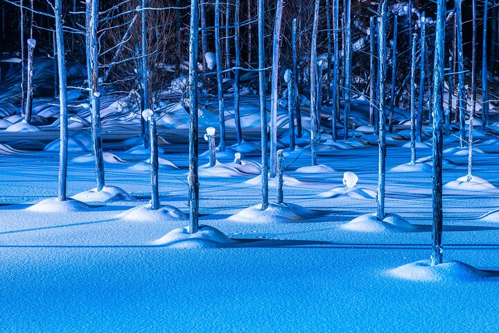 [Late Departure] Biei Best 5 Must-Visit Day Tour from Sapporo