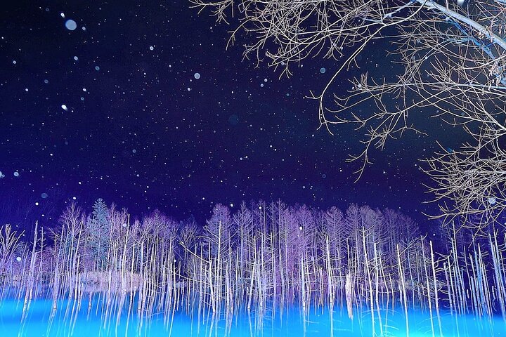 [Late Departure] Biei Best 5 Must-Visit Day Tour from Sapporo
