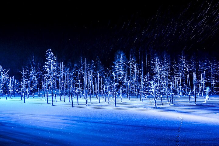 [Late Departure] Biei Best 5 Must-Visit Day Tour from Sapporo