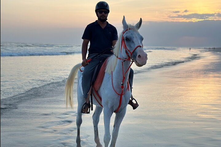 Salalah Camel & Horse Riding Experience