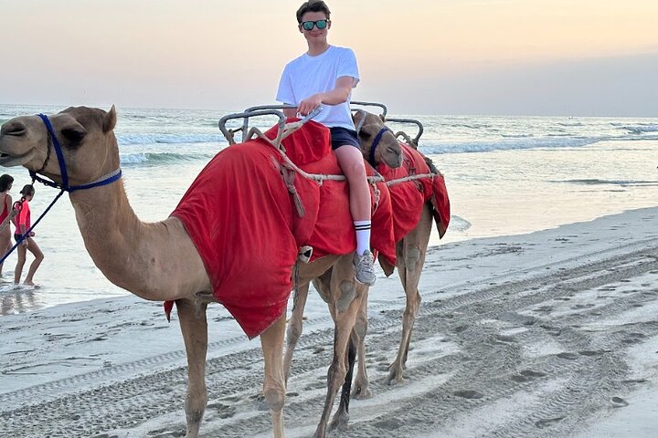 Salalah Camel & Horse Riding Experience