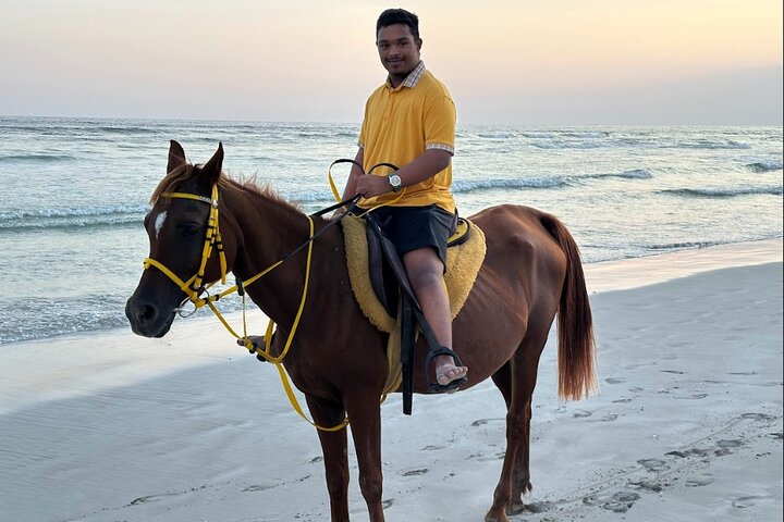 Salalah Camel & Horse Riding Experience
