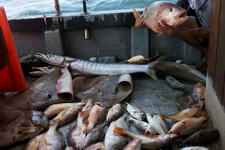 Semporna: Shallow or Deep Sea Fishing Tours with Guide