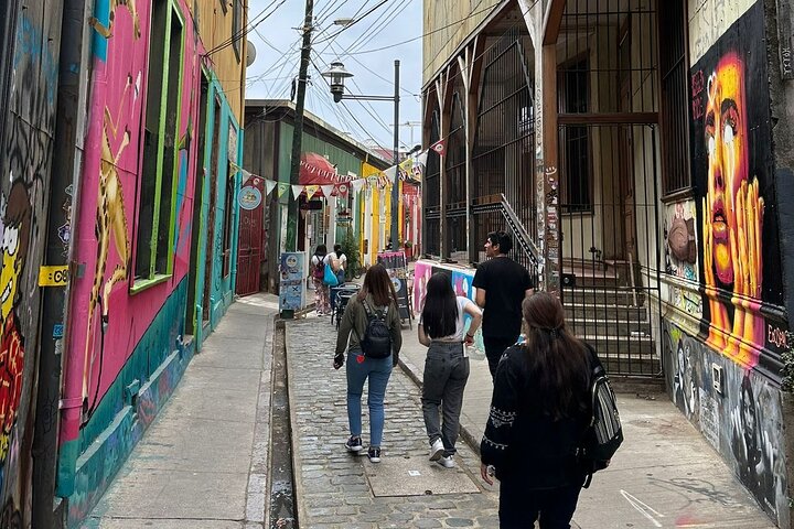 Private day tour of Valparaíso and Viña del Mar