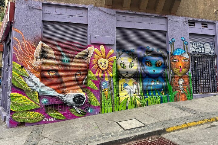 Private day tour of Valparaíso and Viña del Mar