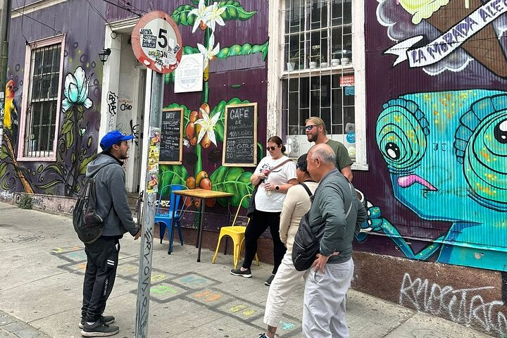 Private day tour of Valparaíso and Viña del Mar