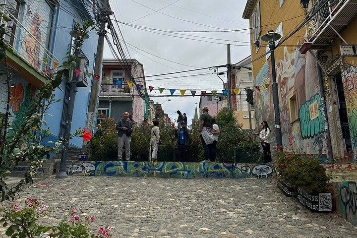 Private day tour of Valparaíso and Viña del Mar