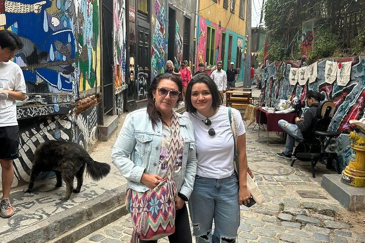 Private day tour of Valparaíso and Viña del Mar