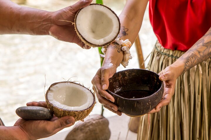 Underwater Observatory & Coconut Experience