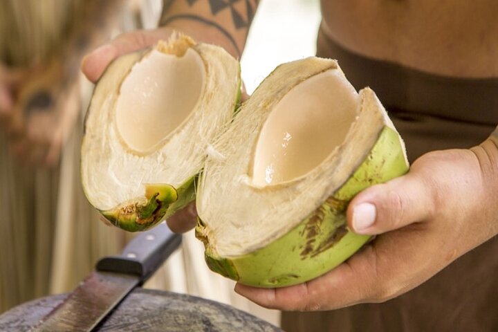 Underwater Observatory & Coconut Experience