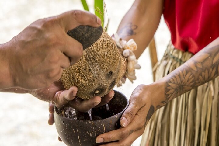 Underwater Observatory & Coconut Experience