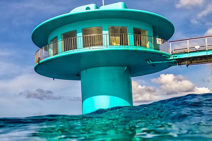 Underwater Observatory & Coconut Experience
