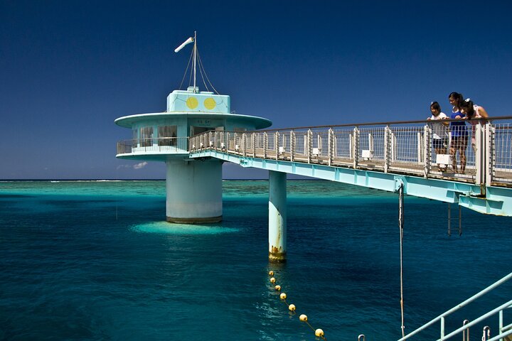 Underwater Observatory & Coconut Experience