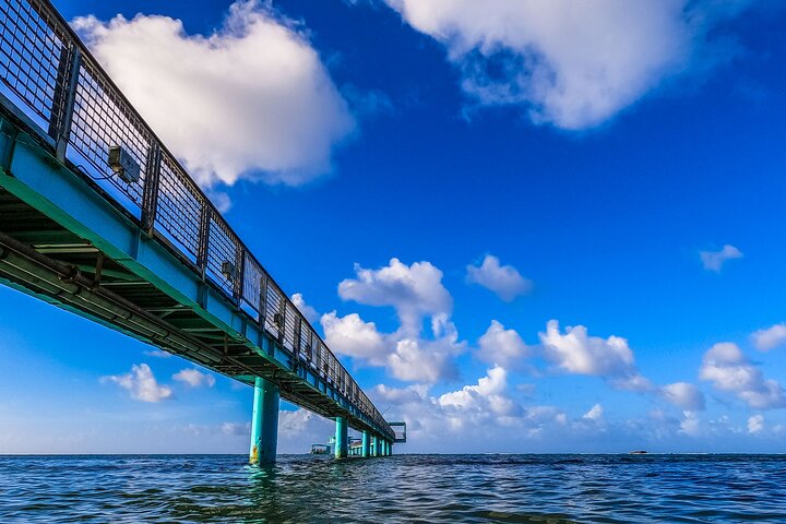 Underwater Observatory & Coconut Experience