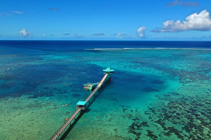 Underwater Observatory & Coconut Experience