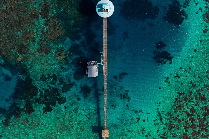 Underwater Observatory & Coconut Experience