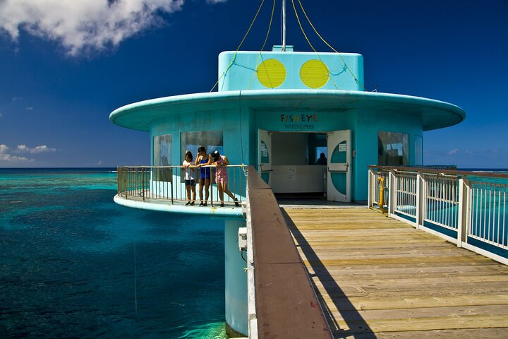Underwater Observatory & Coconut Experience