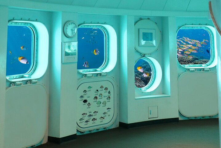 Underwater Observatory & Coconut Experience