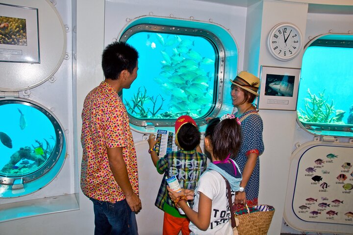 Underwater Observatory & Coconut Experience