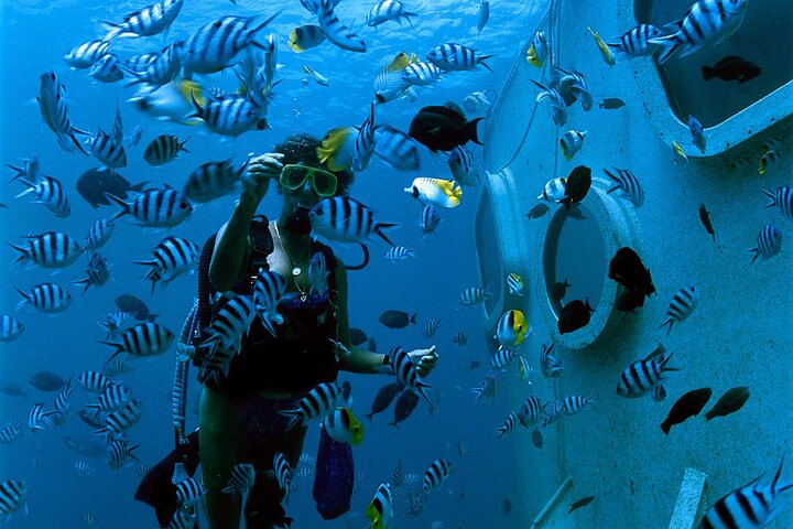 Underwater Observatory & Coconut Experience