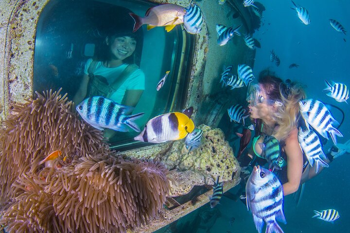 Underwater Observatory & Coconut Experience