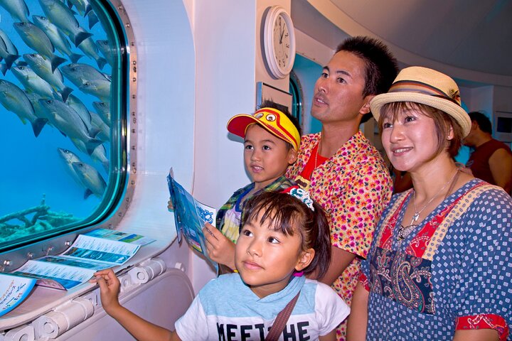 Underwater Observatory & Coconut Experience