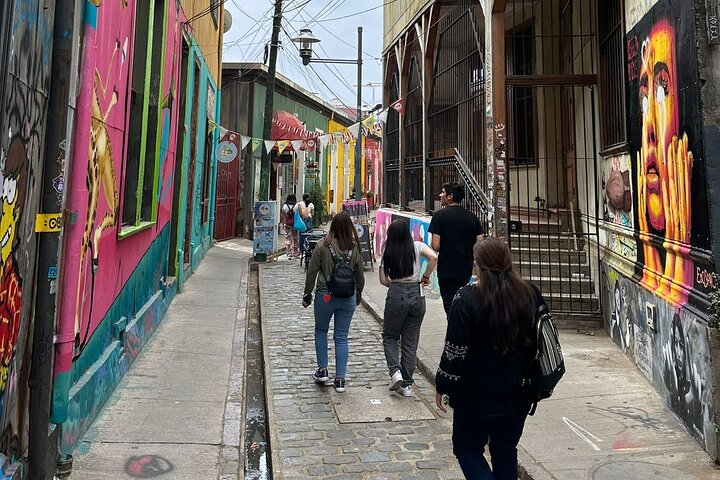 Private day tour of Valparaíso and Viña del Mar