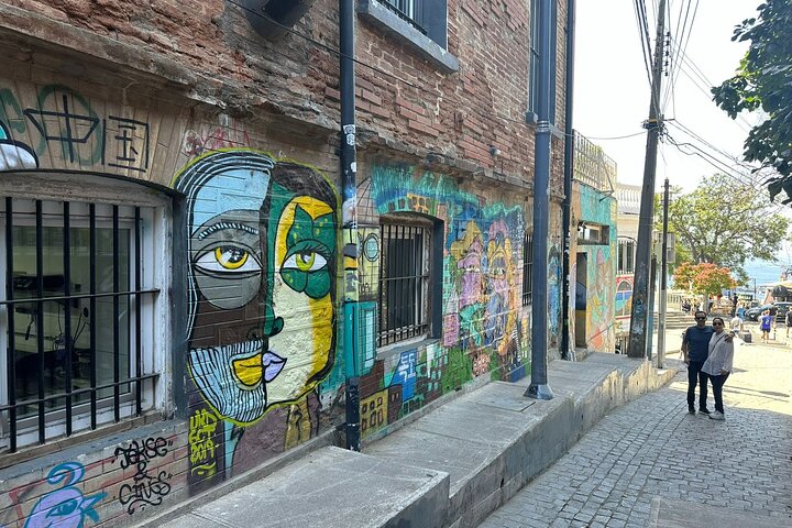 Private day tour of Valparaíso and Viña del Mar