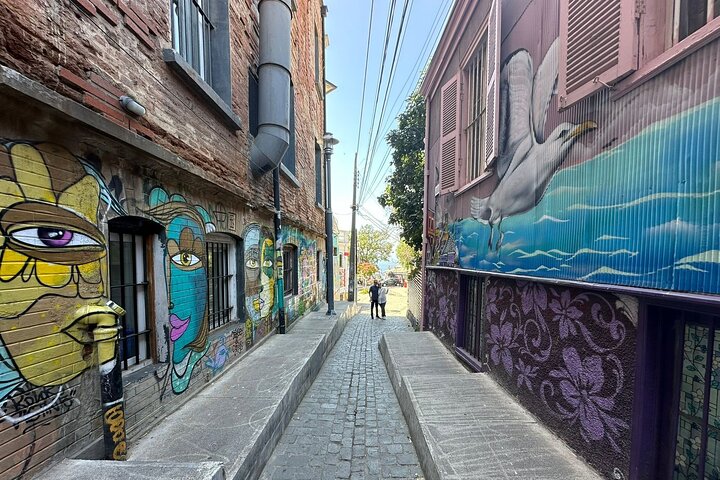 Private day tour of Valparaíso and Viña del Mar