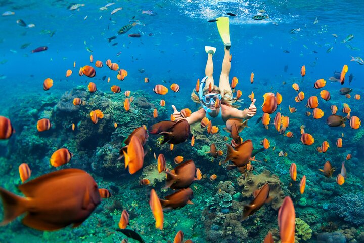 Sharm El Sheikh: Ras Mohammed Snorkeling & Top Sights