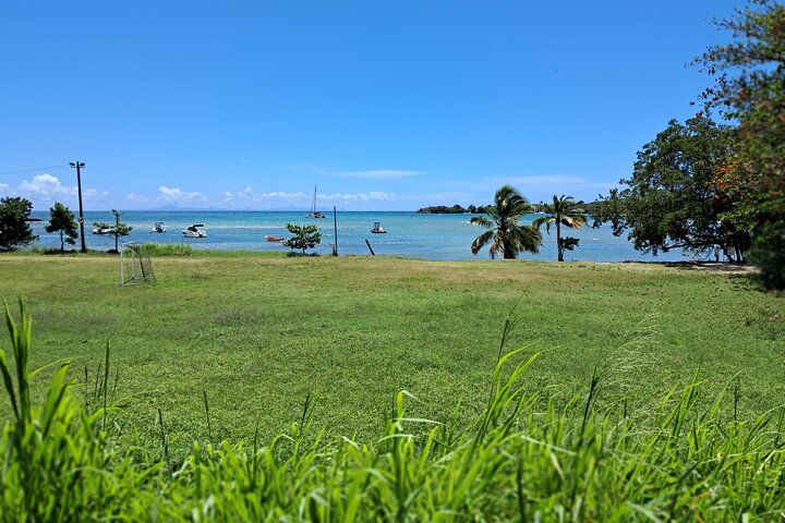 Private Tour: Southern Martinique by Prestige Vehicle