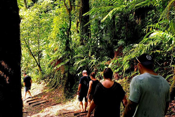 Tour to discover the lush North and waterfalls
