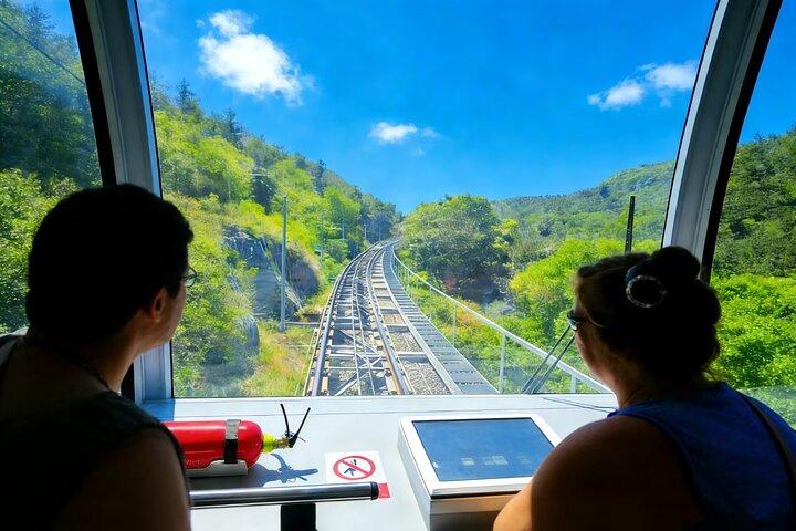 Beijing Private Tour:Mutianyu/Badaling Great Wall and Panda House