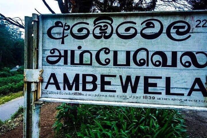 Nuwaraeliya (Nanuoya) - Ella Train Tickets