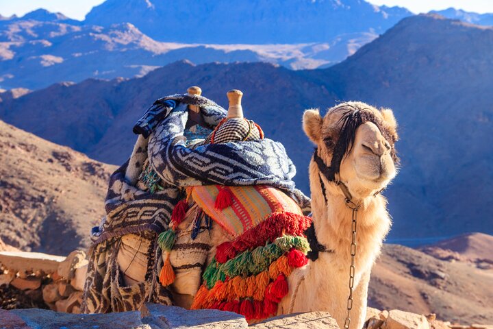 Sharm El-Sheikh: ATV Quad, Camel Ride, BBQ Dinner and Show