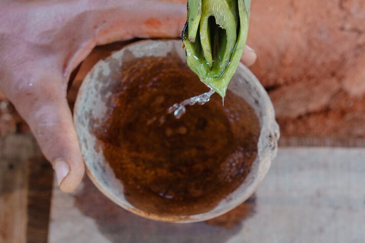 Cachasol Tequila Tasting & Raicilla Distillery Tour