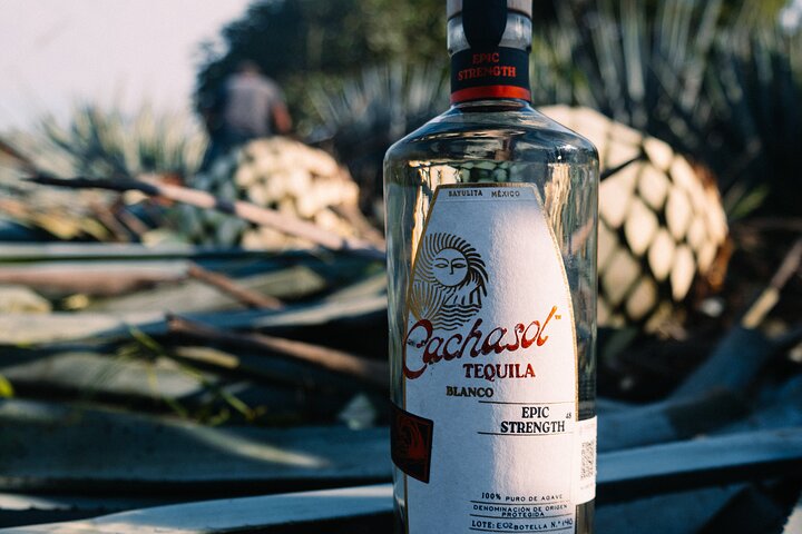 Cachasol Tequila Tasting & Raicilla Distillery Tour