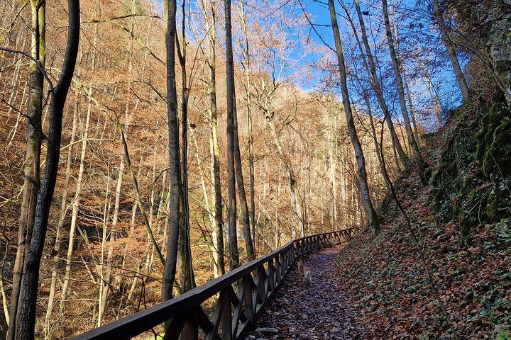 Half Day Tour to the Macocha Abyss and The Punkva Caves