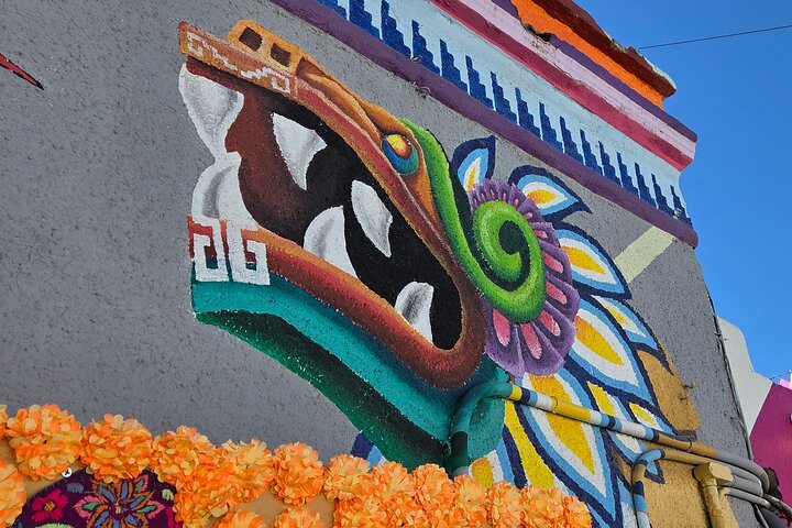 Los Cabos Small-Group Tour: Cruise, Tacos, Tequila and Photos
