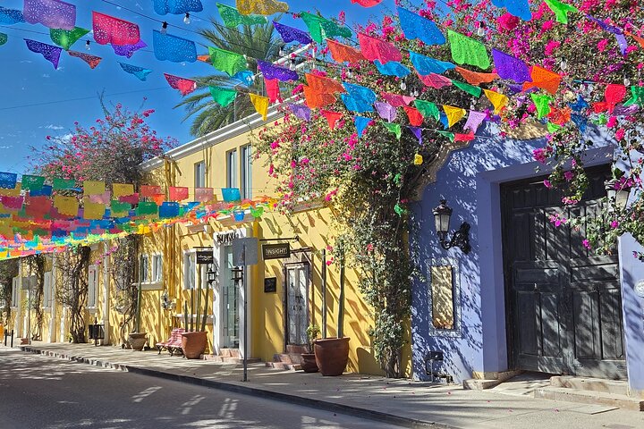 Los Cabos Small-Group Tour: Cruise, Tacos, Tequila and Photos