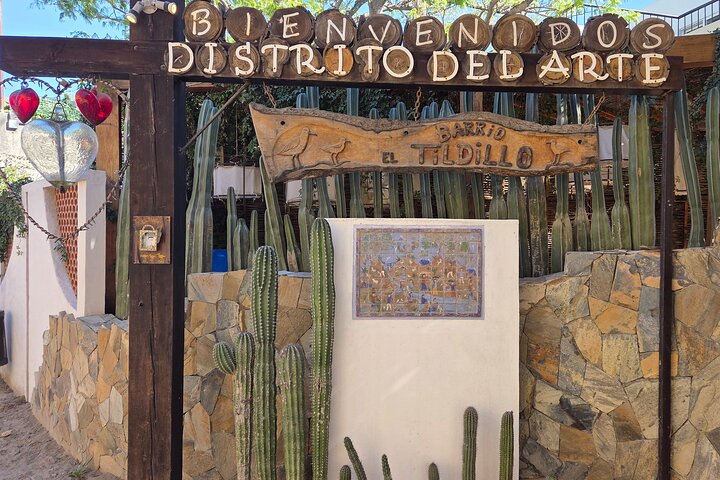 Los Cabos Small-Group Tour: Cruise, Tacos, Tequila and Photos