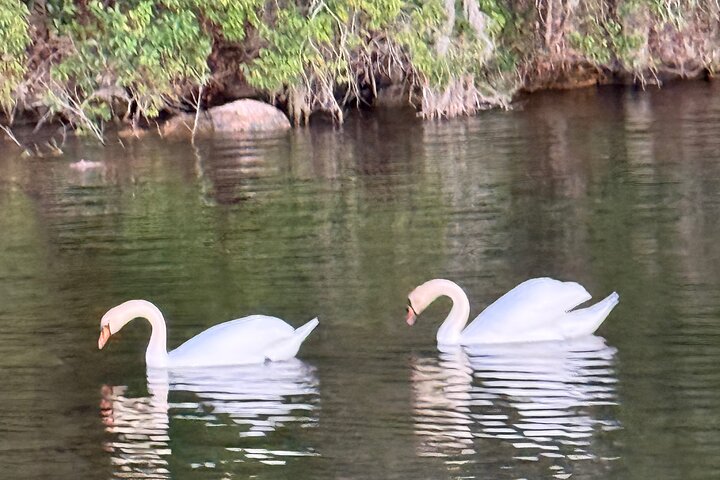 1 hr Lake Austin Boat Cruise. BYOB (Shared - Single Tickets)