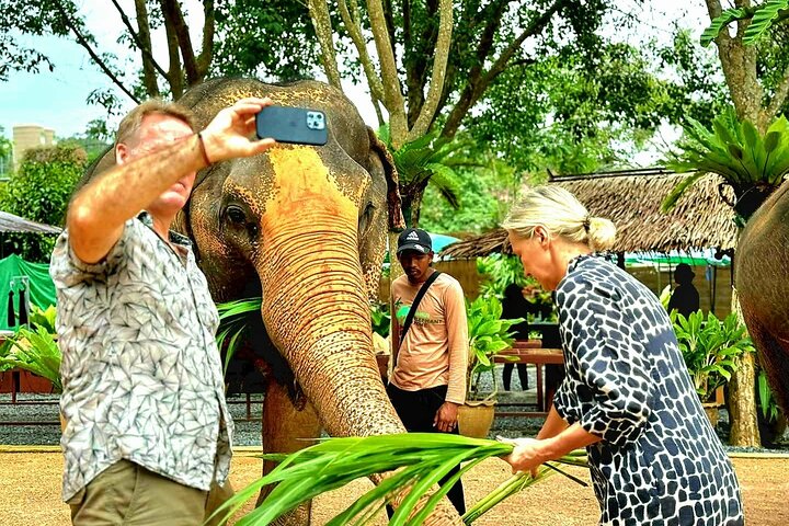 Koh Samui: Elephant Nature Care, the largest elephant sanctuary