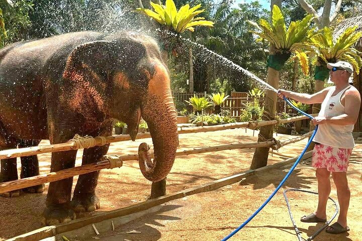 Koh Samui: Elephant Nature Care, the largest elephant sanctuary