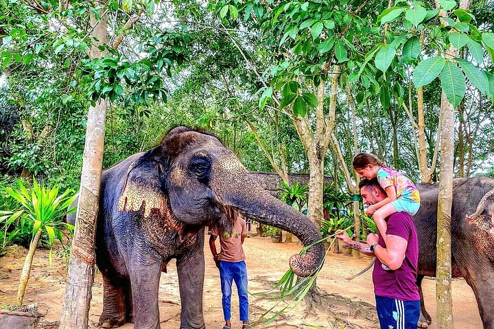 Koh Samui: Elephant Nature Care, the largest elephant sanctuary