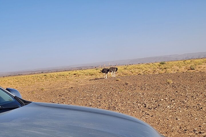 Overnight Desert Escape Foum Zguid to Erg Chigaga Dunes