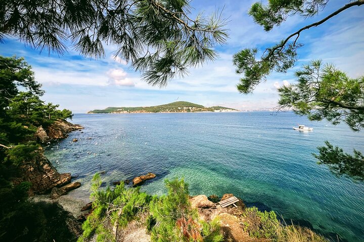 Hidden Beach Escape Princes Islands Swim Tour