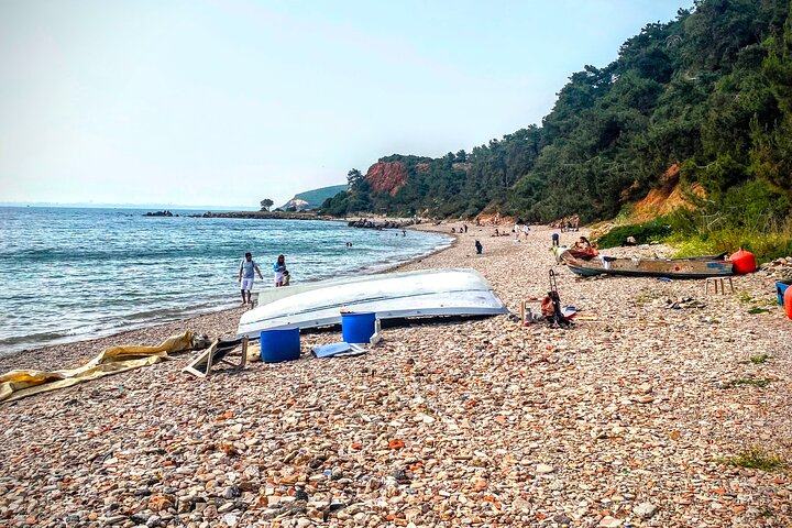 Hidden Beach Escape Princes Islands Swim Tour